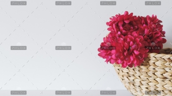 ina-soulis-227104-unsplash